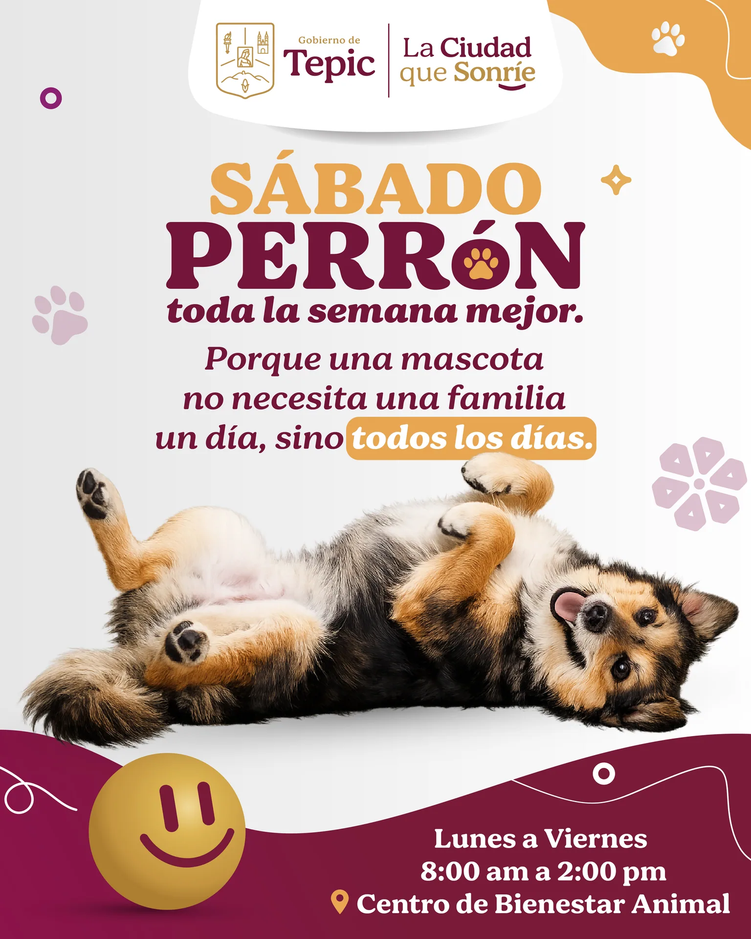 sabado perron
