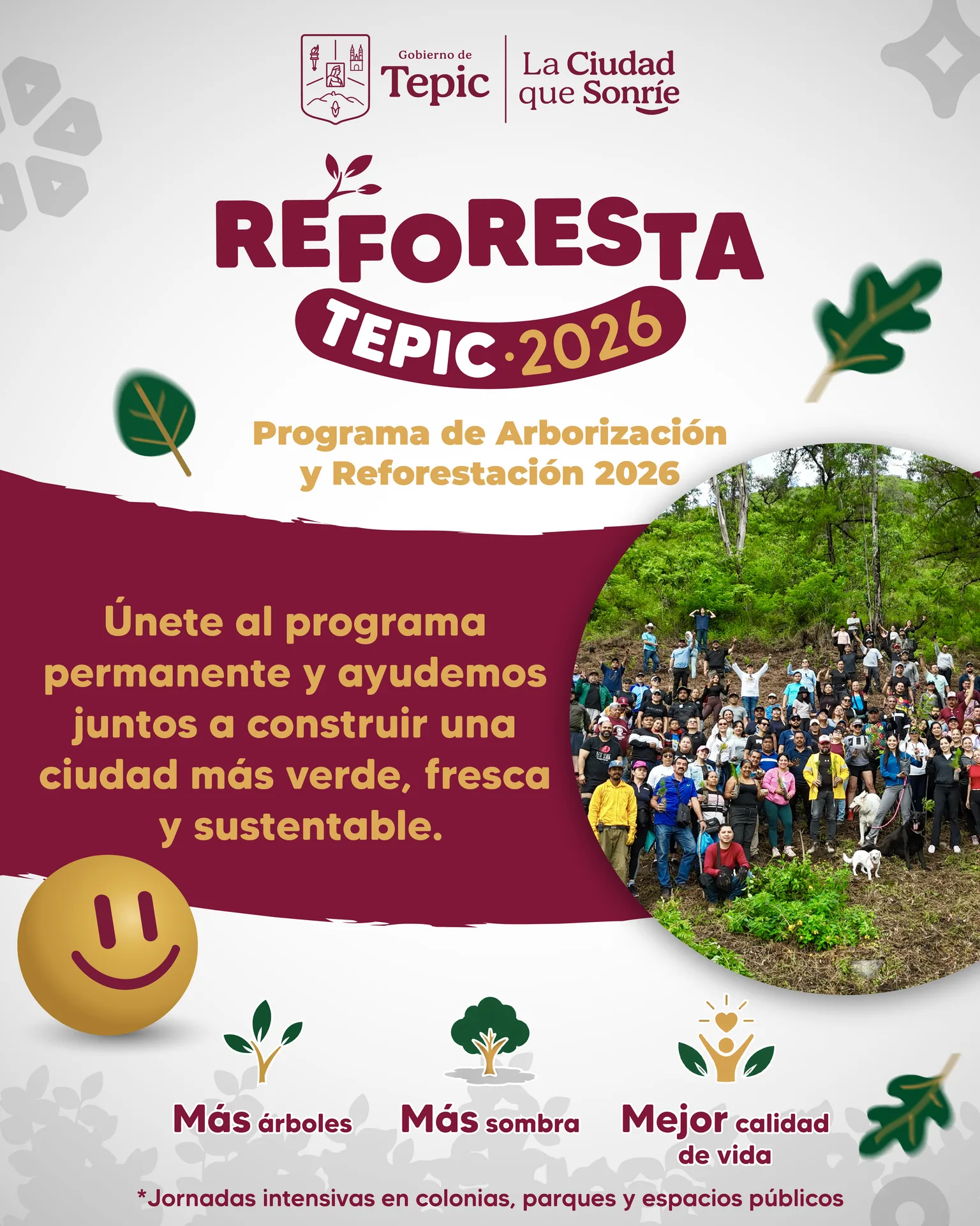 reforesta