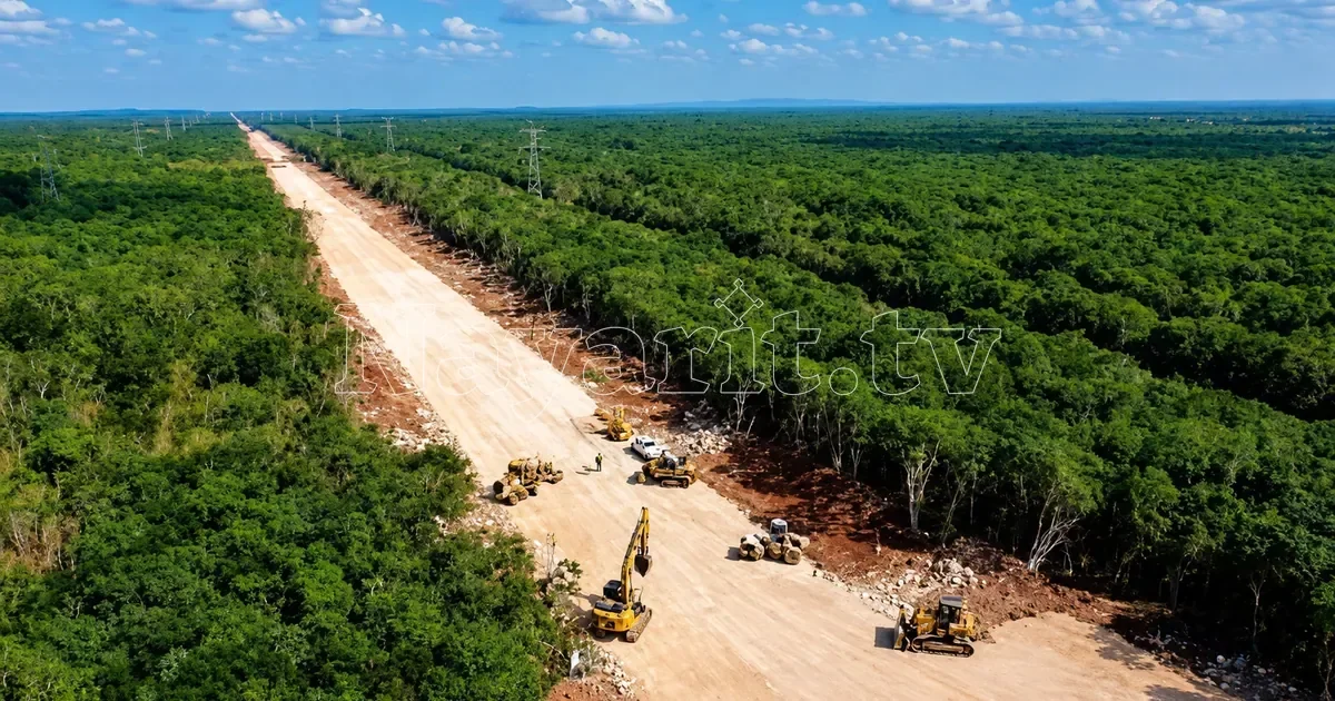 Semarnat aprueba libramiento vial del Tren Maya; desmontarán casi 69 hectáreas de selva