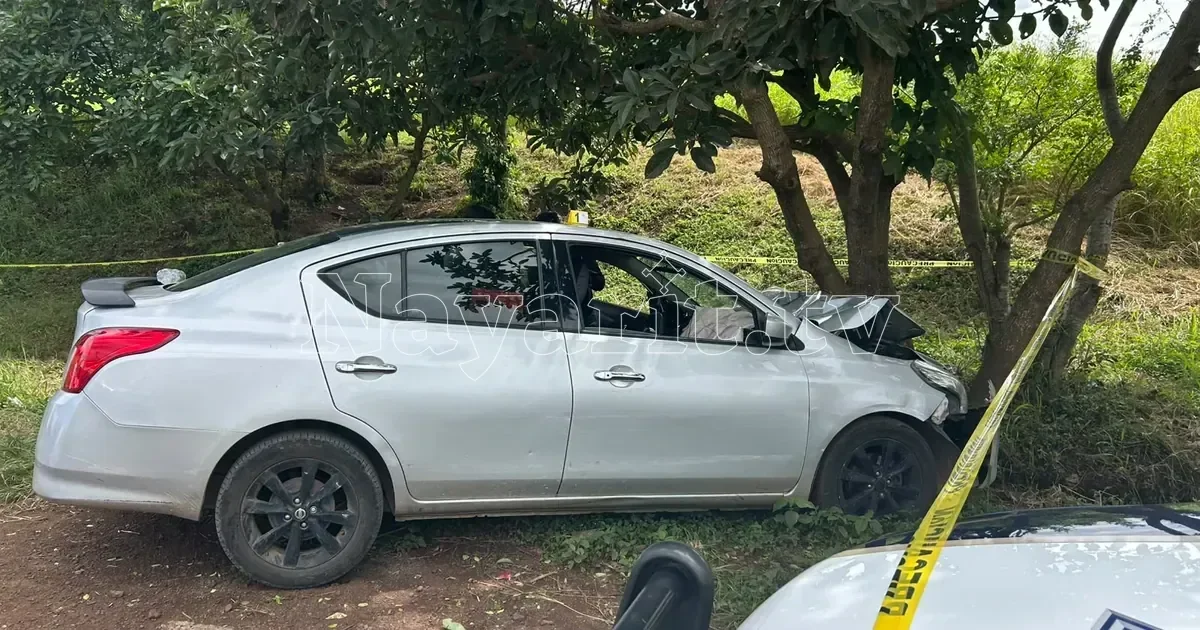 Muere conductor tras sufrir presunto infarto al volante y chocar contra un árbol en la carretera hacia San Luis de Lozada