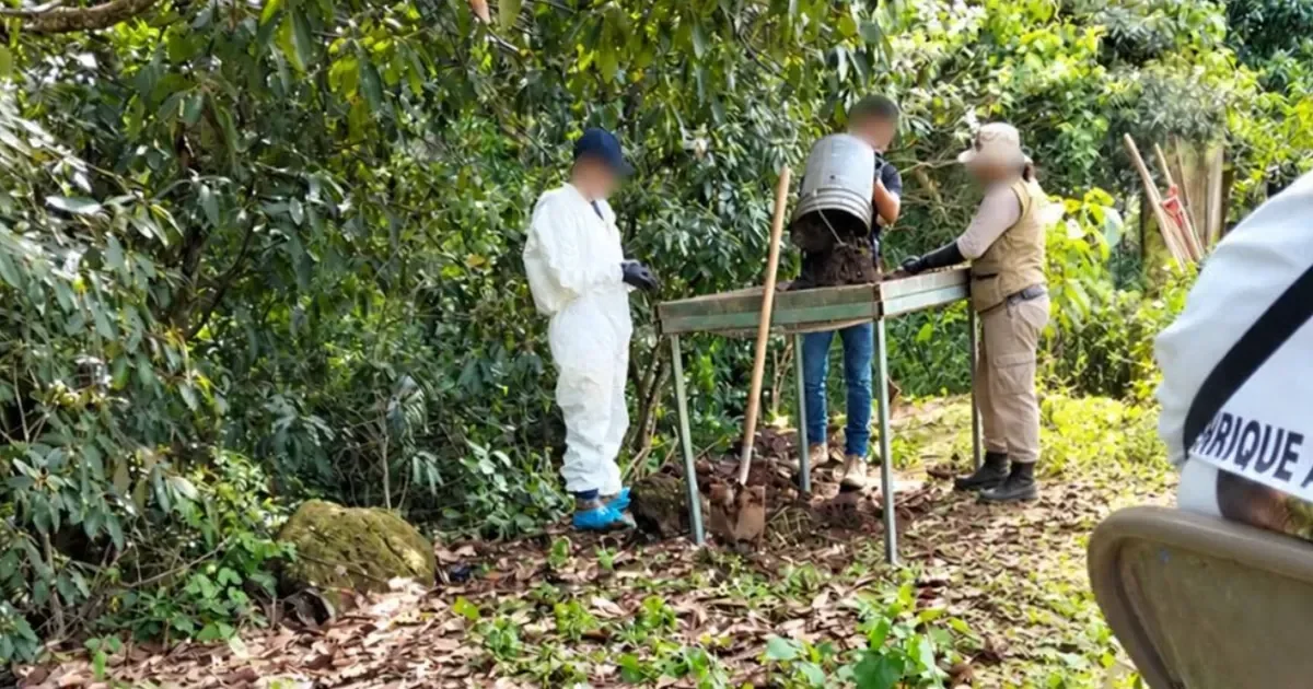 Extienden búsqueda de restos en presunto centro de exterminio en Xalisco, Nayarit
