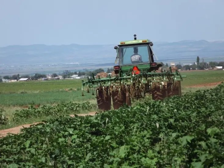 Proponen crear la Ley de Agricultura Familiar