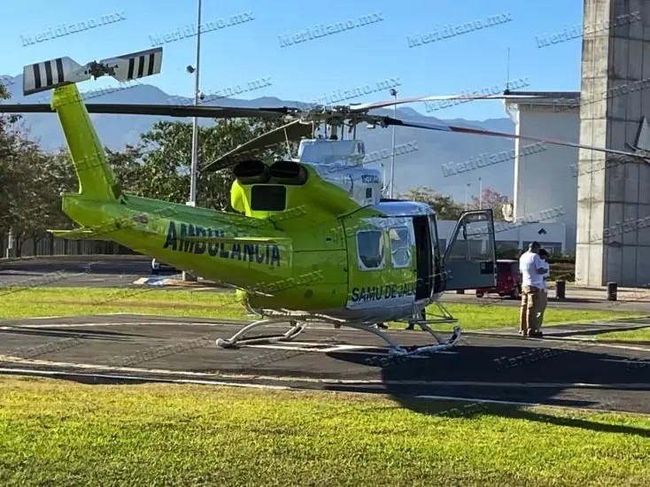¡araña violinista picó a una mujer!