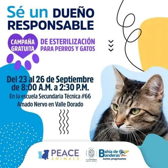 Realizarán Primera Campaña conjunta de Esterilización para perros y gatos