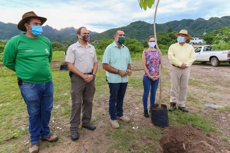 Inician Gobierno Municipal y la UDG Reforestación de Ribera del río Pitillal