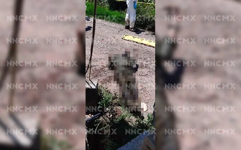 Encuentran cadáver en una fosa de un rancho en Mascota