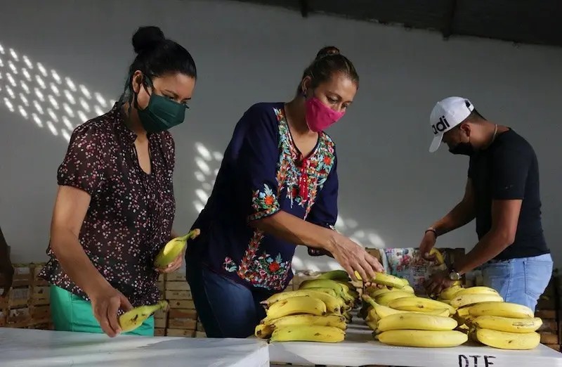 Alista DIF Despensas de \"Desayunos Escolares\"
