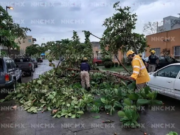 Dejó tormenta daños en Bahía de Banderas