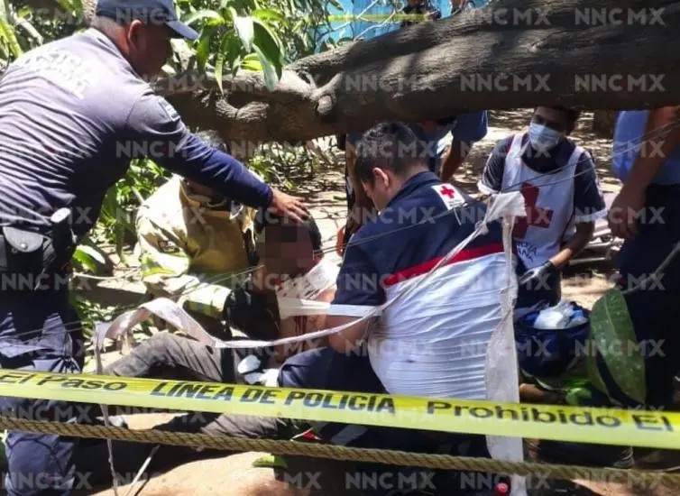Santiago Ixcuintla. Gritaba \"me voy a matar\" desde lo alto de un árbol