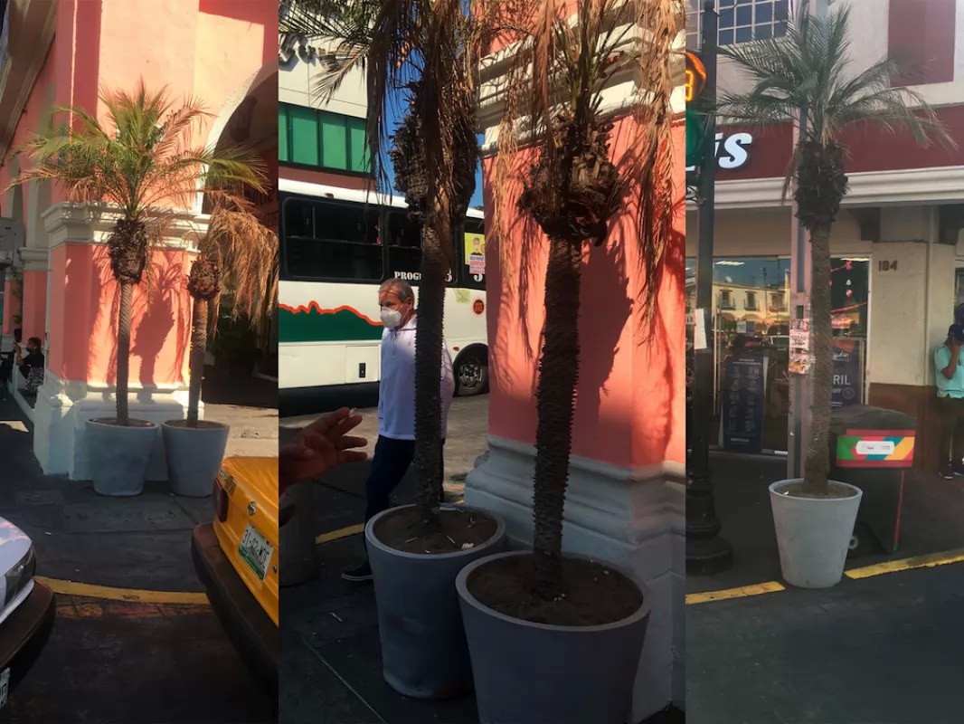 La omisión del Ayuntamiento de Tepic las llevó a la muerte