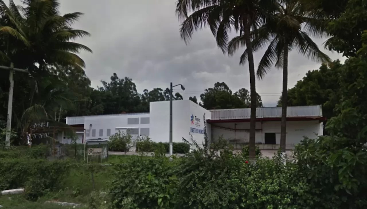 Descartan presencia de peste porcina africana en Tepic