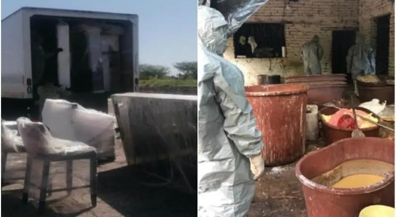 SEDENA asegura 4.5 toneladas de marihuana en Durango