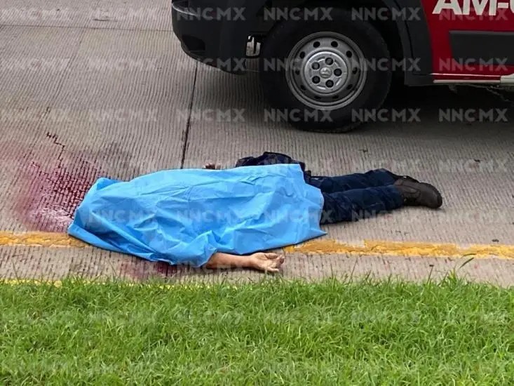 Bahía de Banderas. Lo mató camioneta a la altura de El Tizate