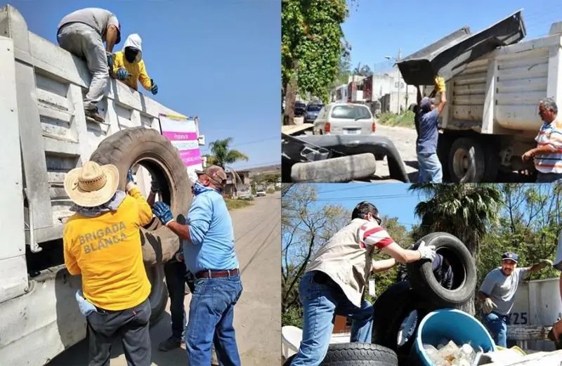 Tepic. Anuncia Ayuntamiento de Tepic acciones contra el dengue en distintas colonias