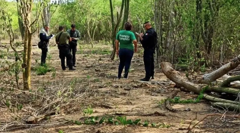 Sinaloa. Localizan Rastreadoras osamenta en El Fuerte