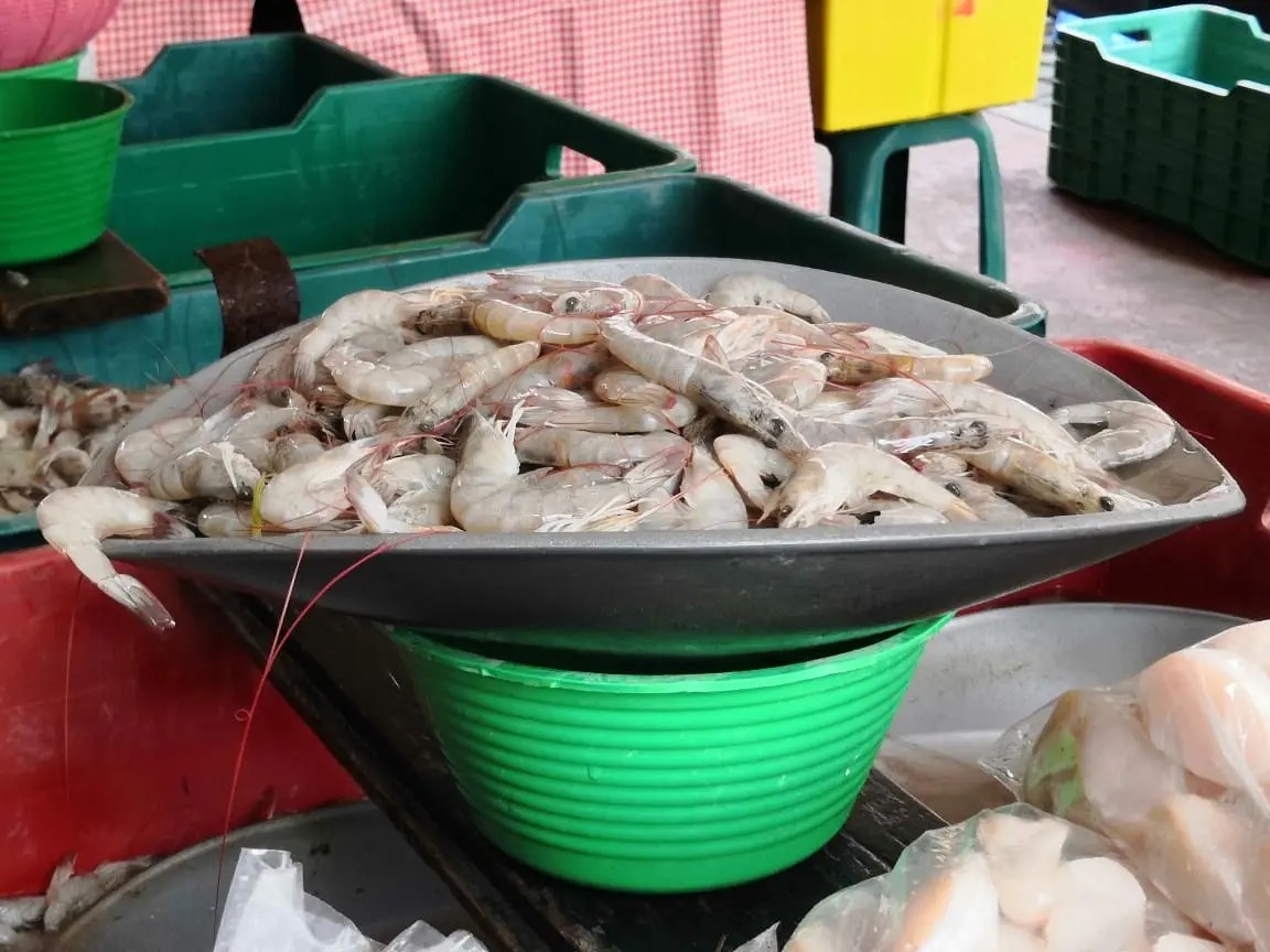 Registra venta de camarón pequeño repunte en Tepic
