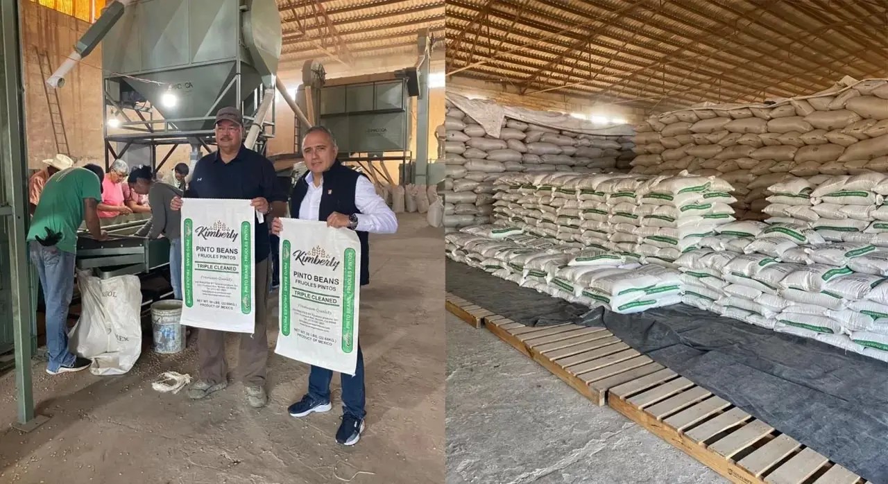 Nayarit comercializa frijol a Estados Unidos