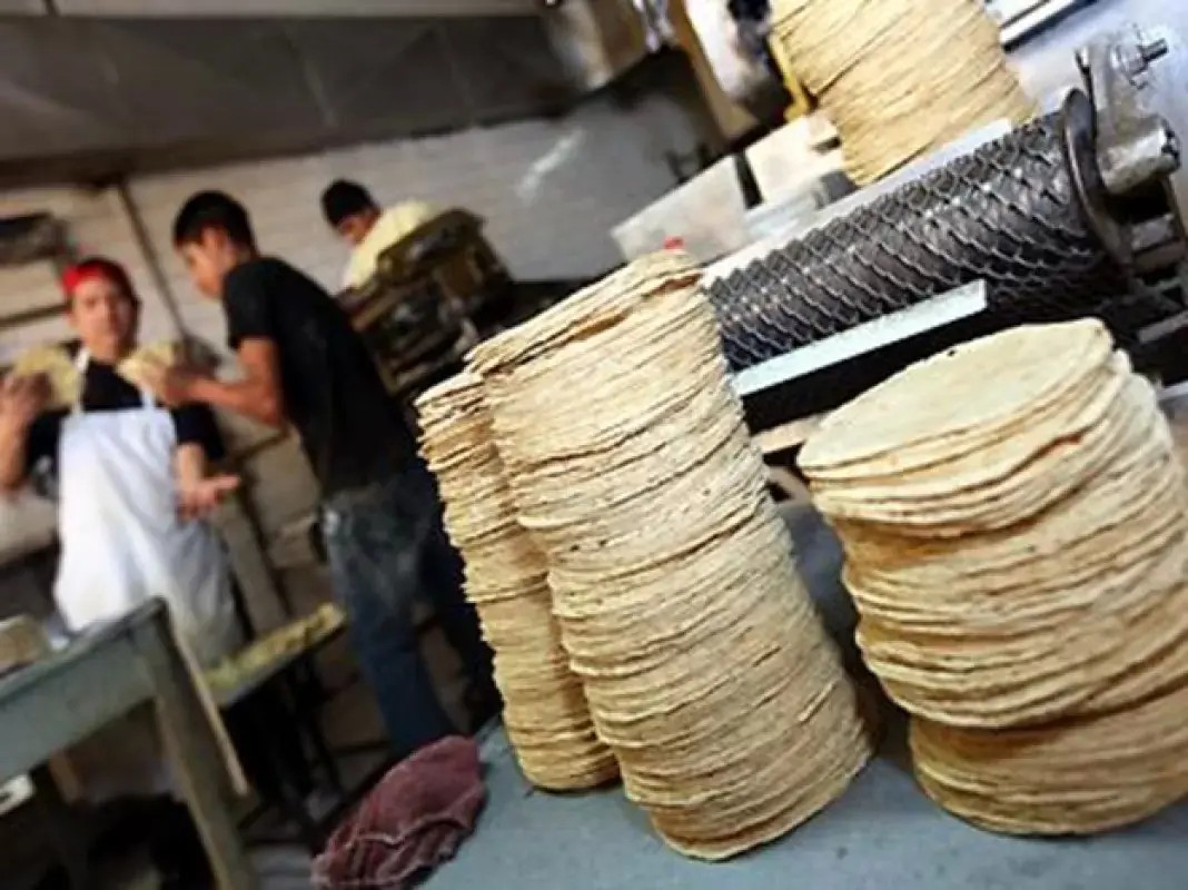 Sube el kilo de tortilla en Nayarit