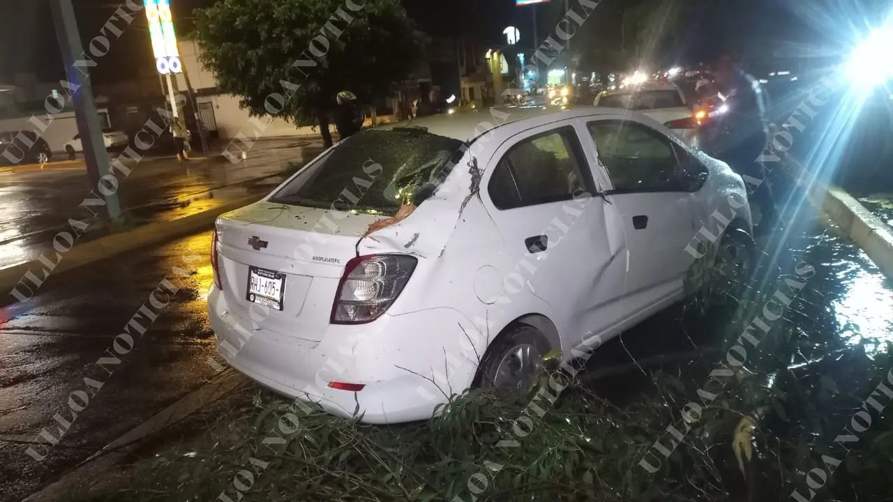 Cae árbol sobre vehículos en la H. Casas