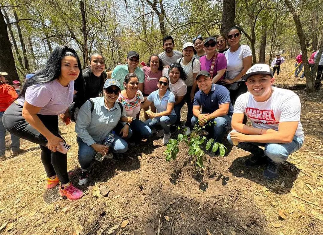 Realiza Morena Nayarit reforestación en el cerro de San Juan