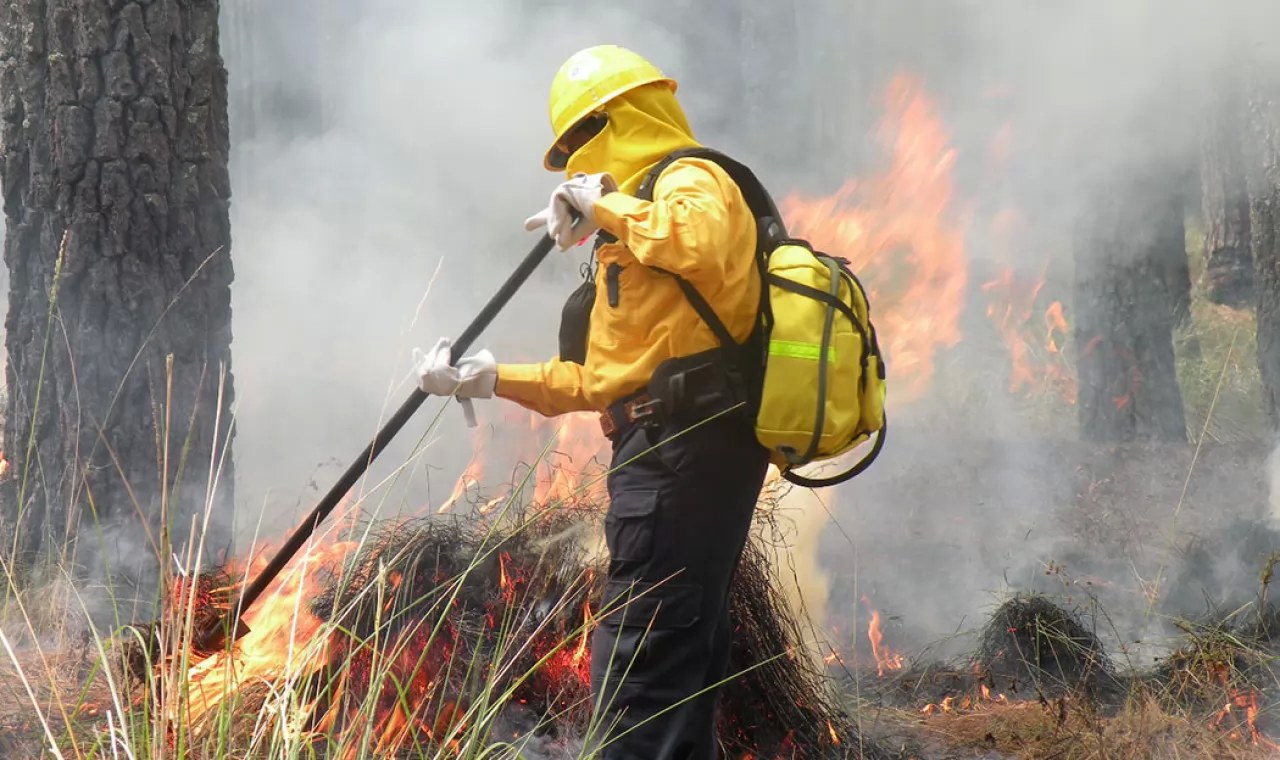 Proponen aplicar extinción de dominio a quienes provoquen incendios forestales