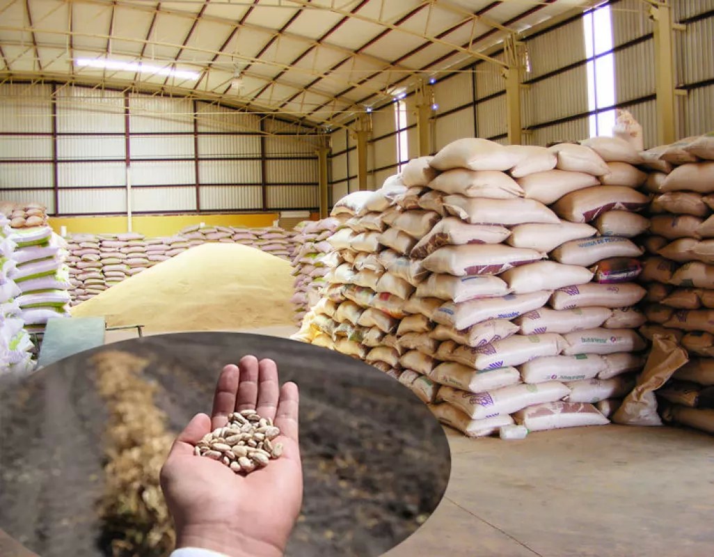 Aplicaremos mano dura contra los \"coyotes\": Diputado