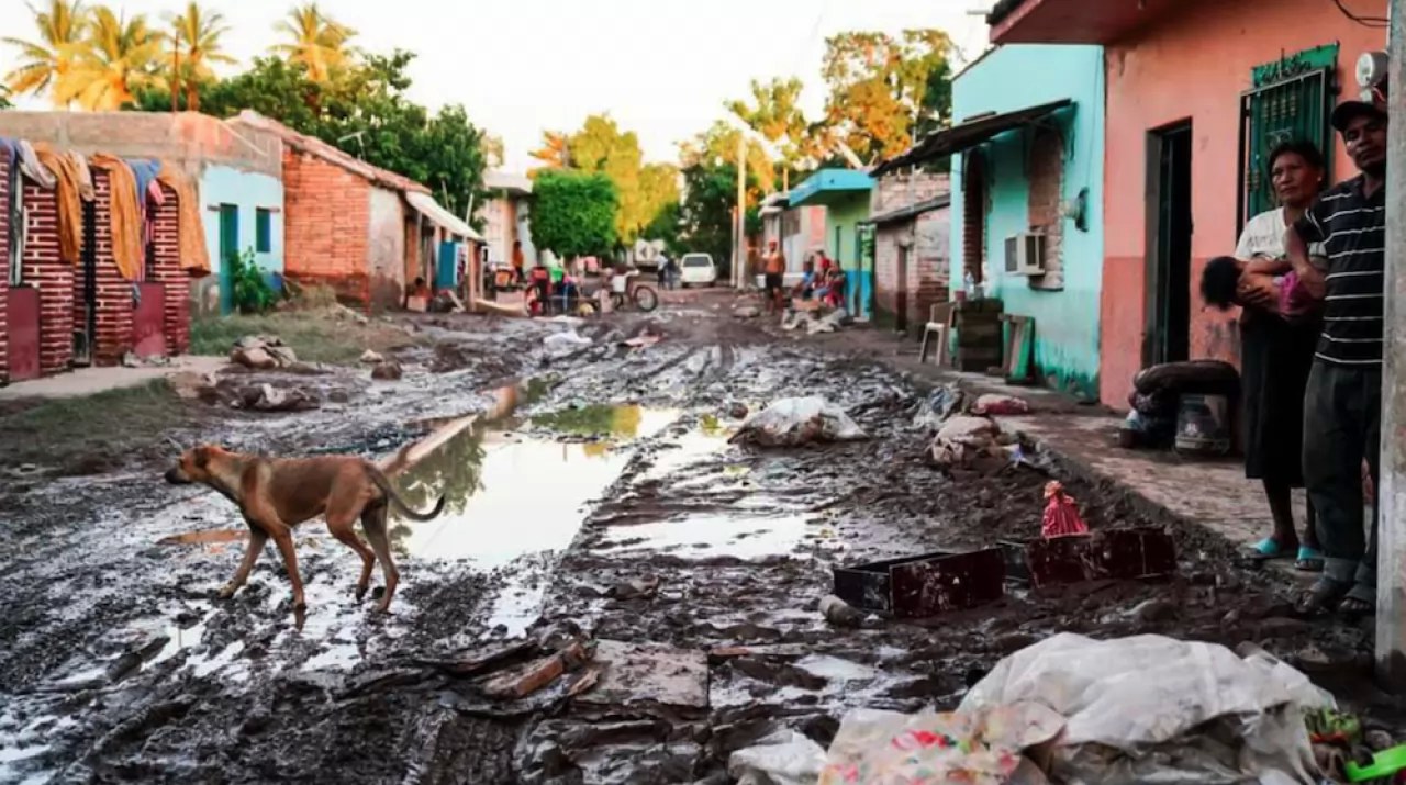 Envían sueros antialacrán a la zona de desastre en Nayarit