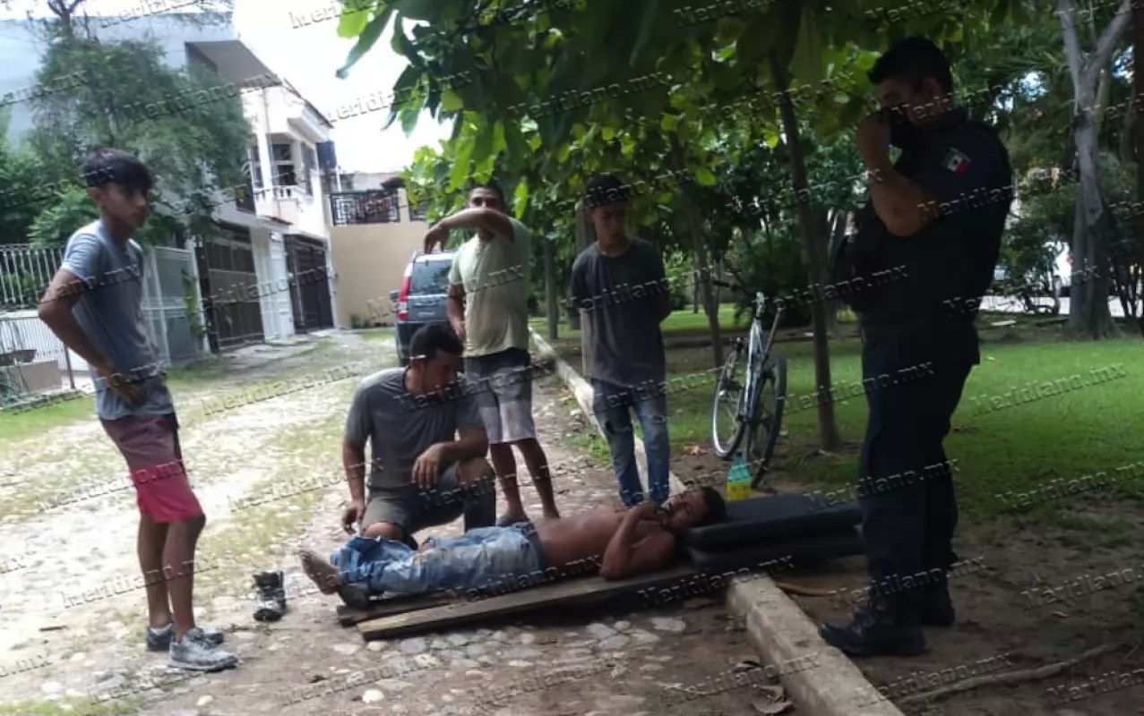 ¡cayó como los gatos!