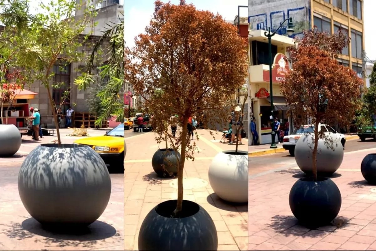 Casi mueren a las puertas de la presidencia por indiferencia: Denuncia Ciudadana