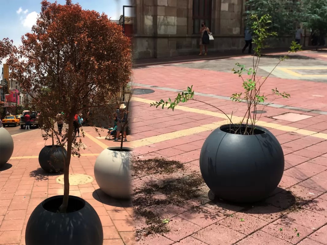 Pierde la batalla a las puertas de la presidencia