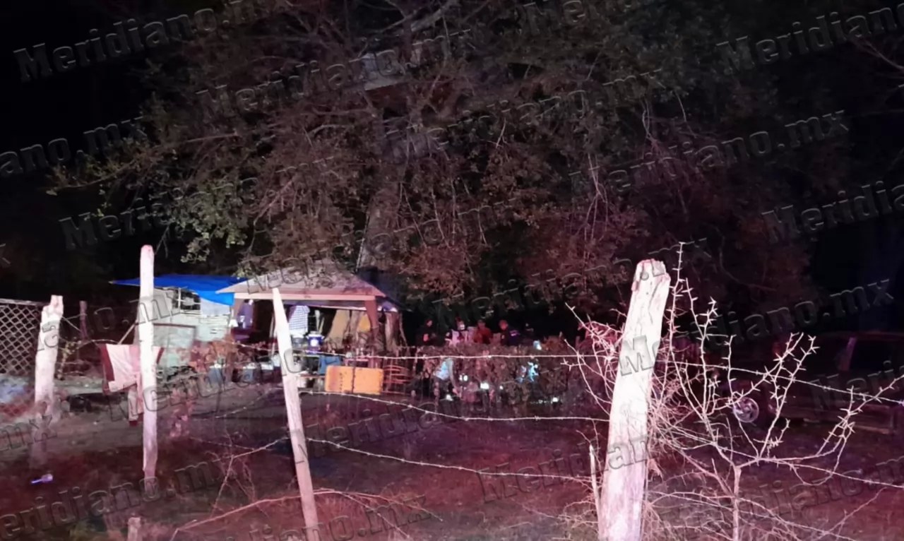 ¡hombre cayó desde la copa de un árbol!