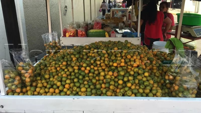 Revela comerciante de Tepic secreto para elegir las mejores ciruelas