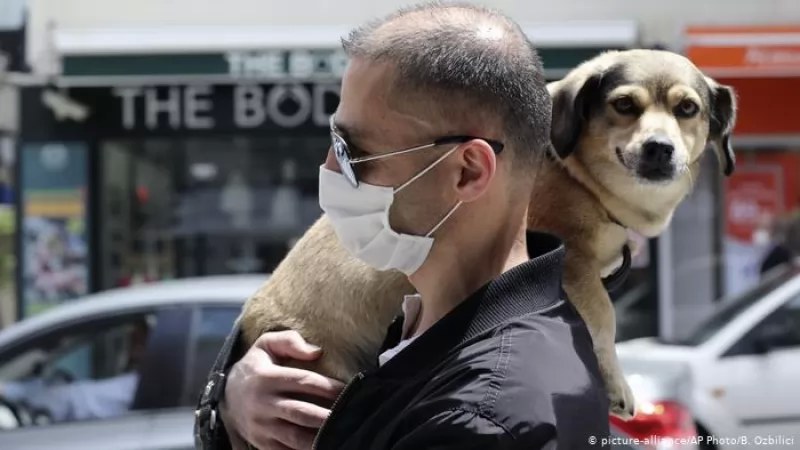 Las mascotas y la pandemia