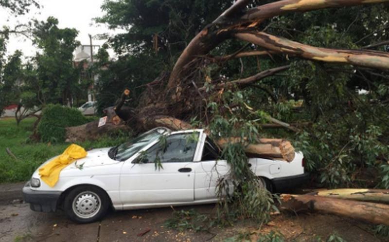 Llama Protección Ciudadana a estar prevenidos ante lluvias