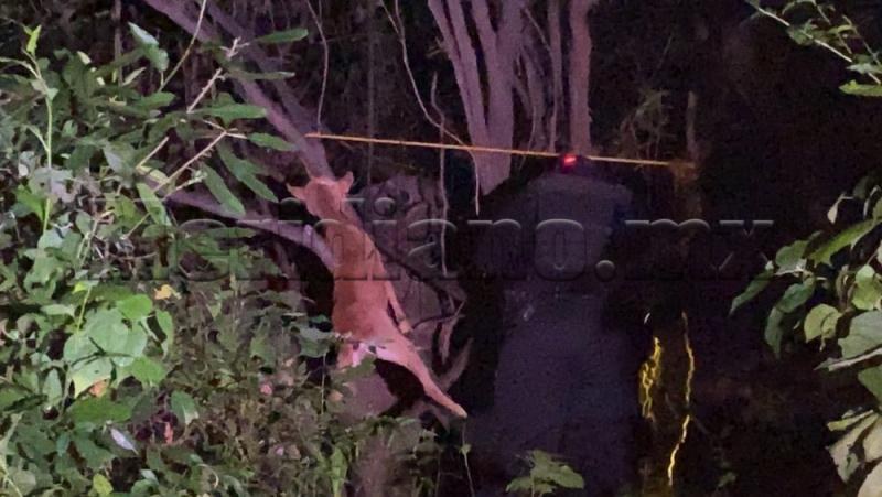 Buscan a salvaje sujeto que colgó y mató a un perro