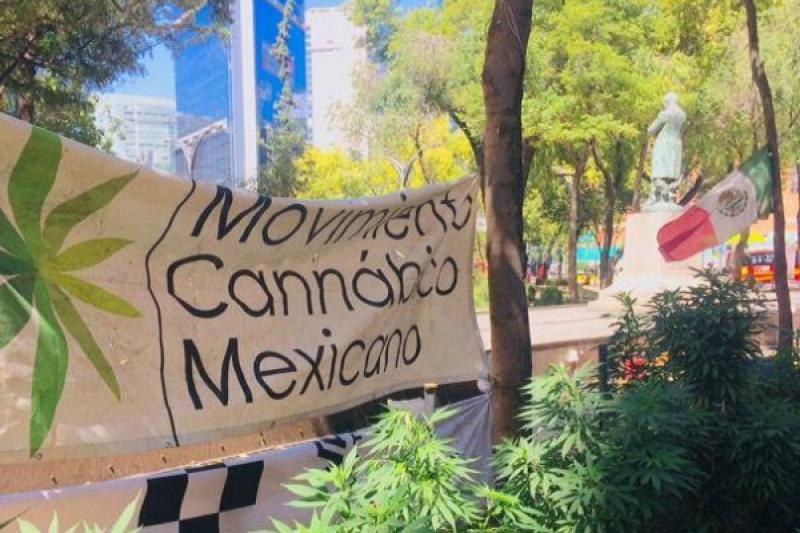 La legalización de la marihuana podría ser una realidad en México