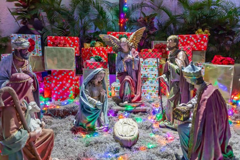 Enciende Seapal Vallarta su Tradicional Arbol de Navidad