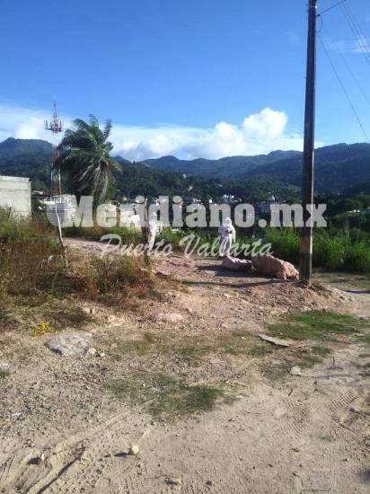 En la primavera…  ¡enjambre de abejas ataca a una familia!