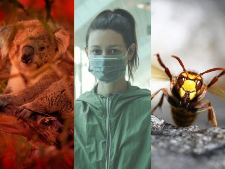 El adiós del incomprendido 2020