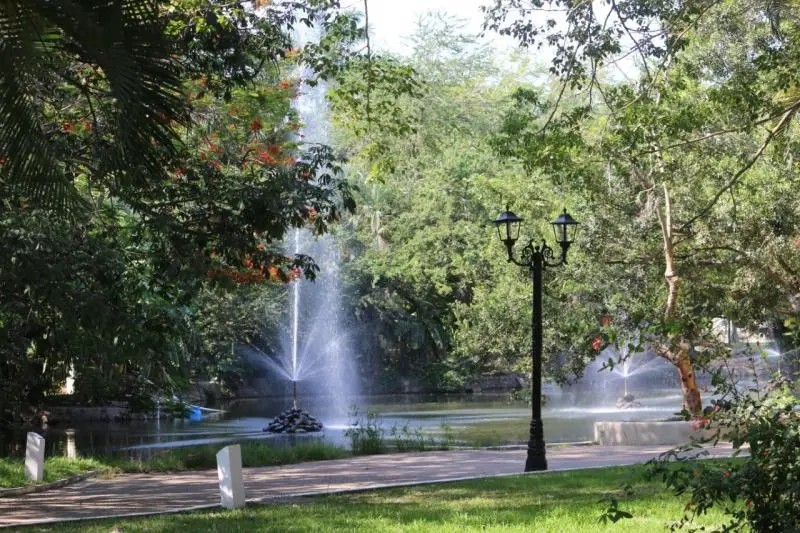 Humedales de la Región son Hábitat de Aves Migratorias