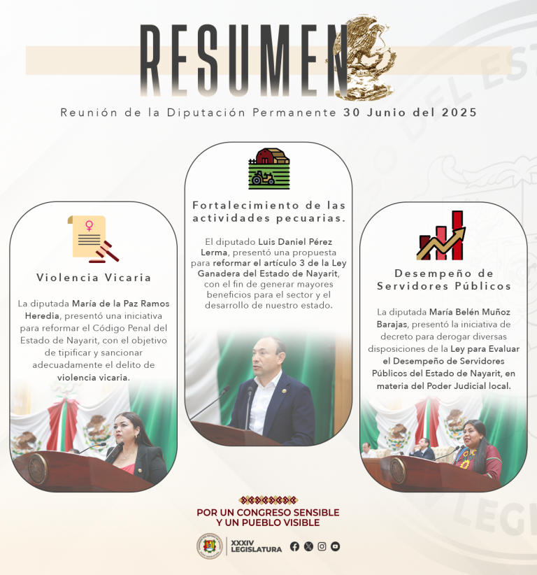 resumen diputacion permanente
