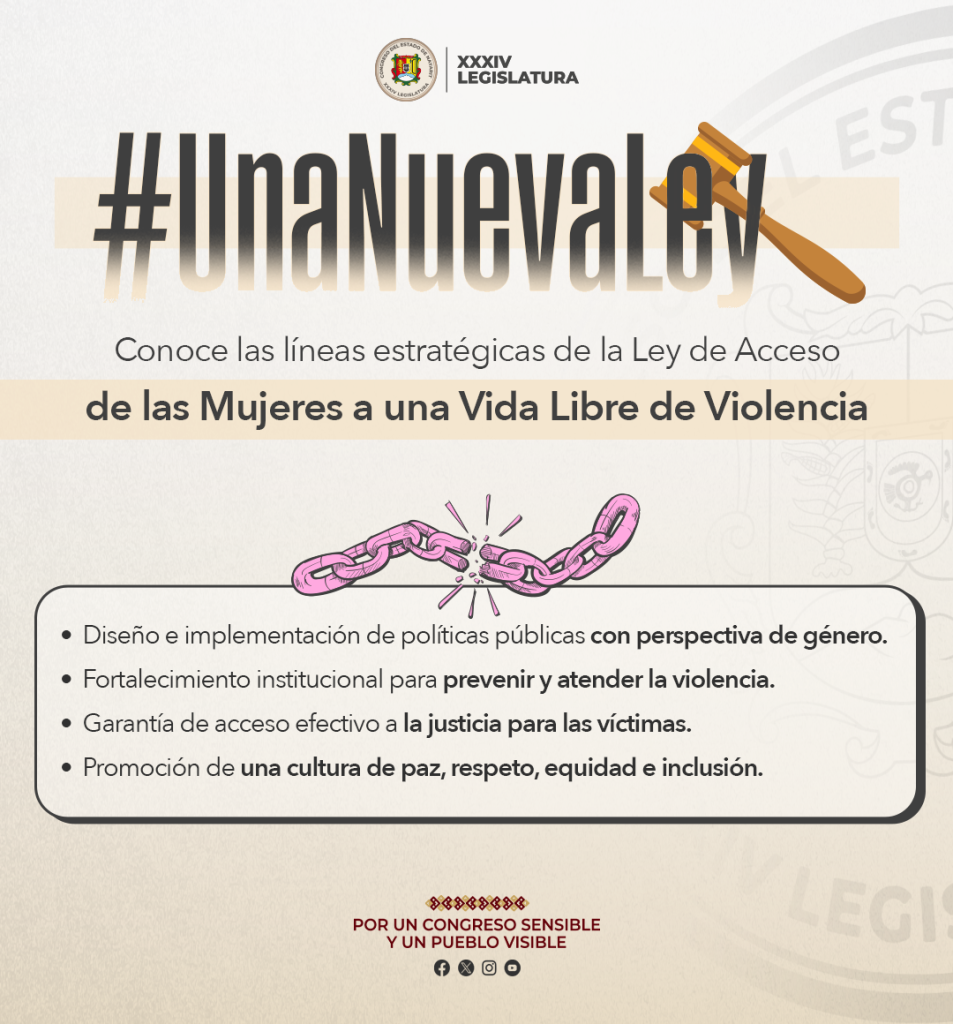ley de acceso de las mujeres líneas estratégicas