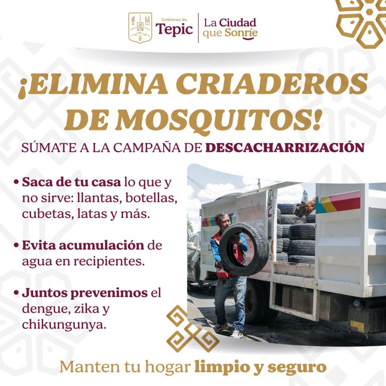 mosquitos