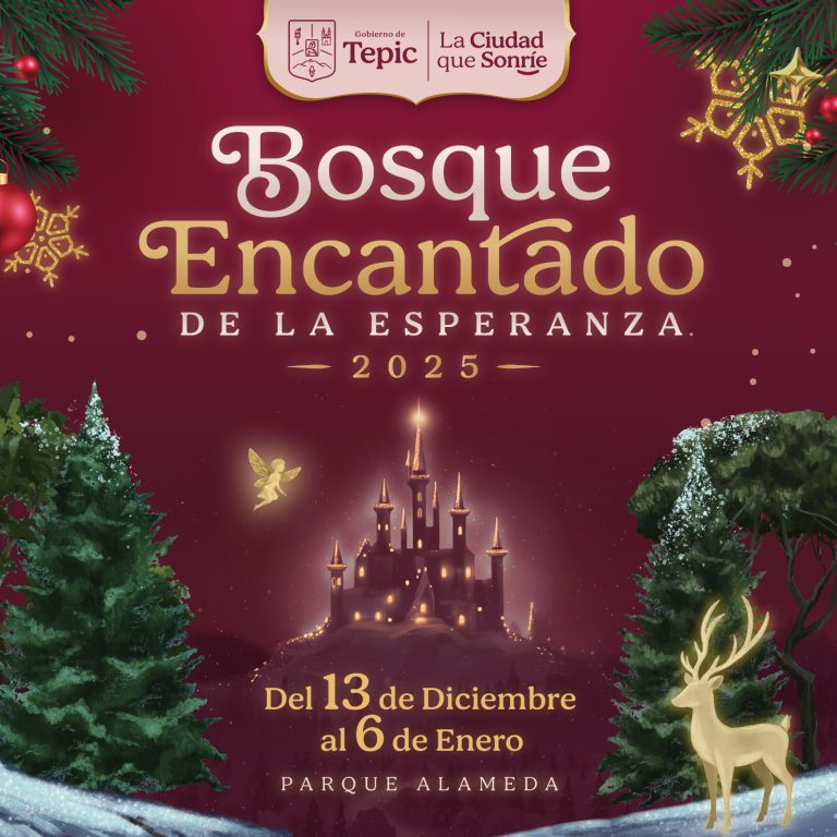 whatsapp image 2025 12 11 at 13.40.57