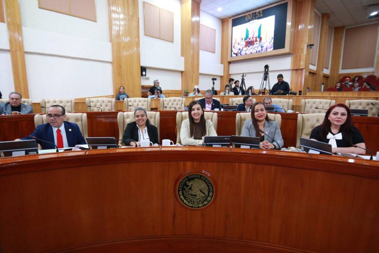 whatsapp image 2026 02 19 at 18.08.44